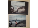 Item 119 Photo  and Portrait of Cammie at Carmel Beach