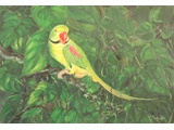 Item 83 Alexicine, Parrot, 12 by 16, acrylic, circa 1994